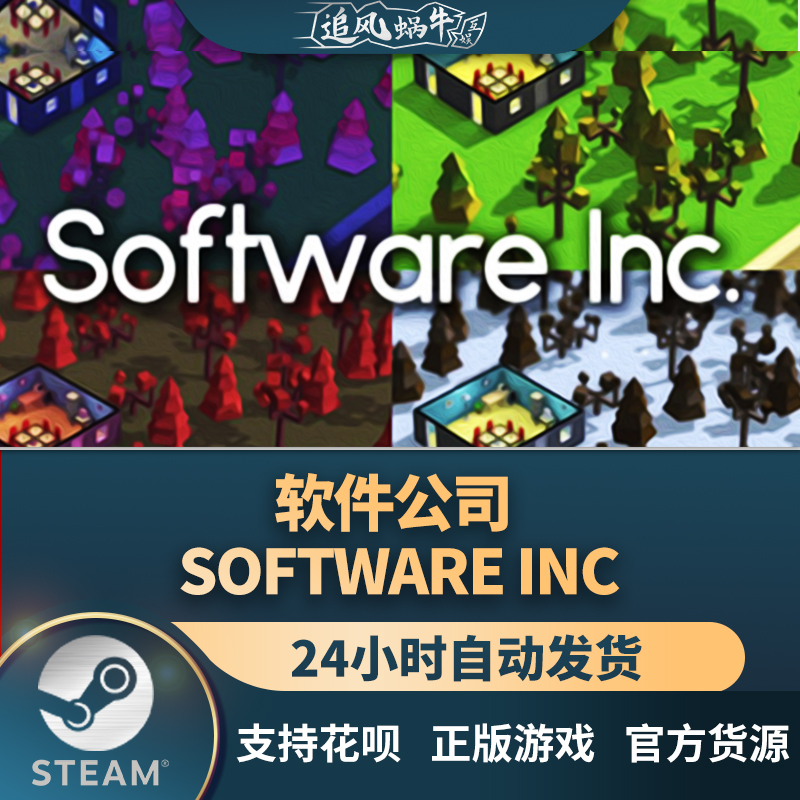 软件公司SoftwareInc