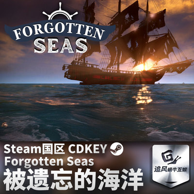 Steam 正版 PC 游戏 遗忘之海 Forgotten Seas 国区激活码 CDKEY