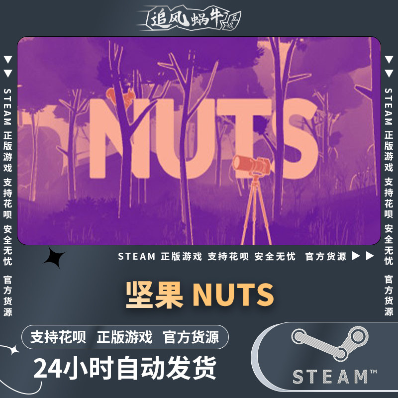pc正版 坚果 nuts 国区礼物