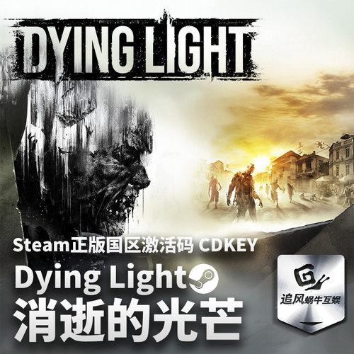 Steam 正版 PC 游戏 消逝的光芒 Dying Light  国区激活码 CDKEY