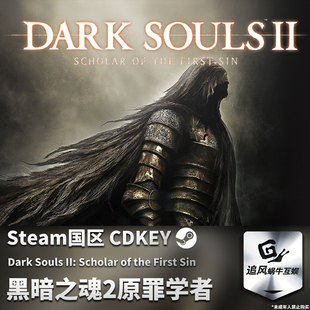 Steam 正版 PC 游戏 黑暗之魂2原罪学者 国区激活码 CDKEY