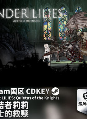 Steam PC 正版 终结者莉莉 骑士的救赎 国区激活码 CDKEY