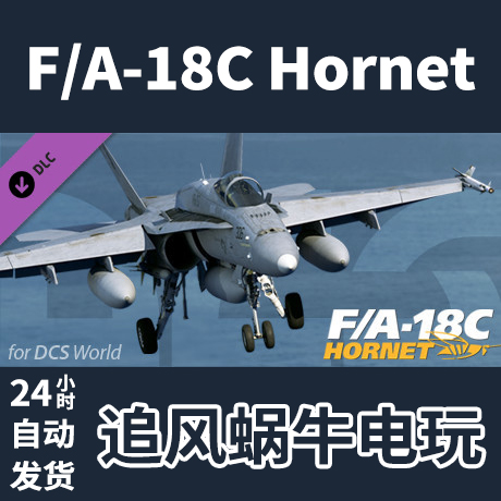 PC正版 Steam国区DCS F/A-18C Hornet礼物