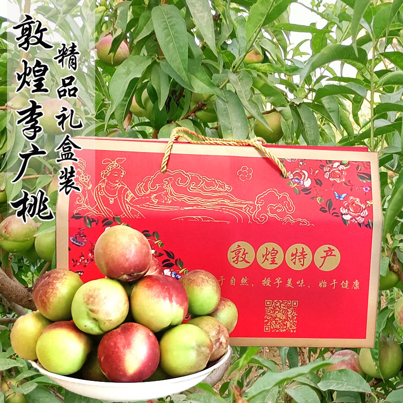 飞天礼盒甘肃敦煌礼品新鲜孕妇水果李广桃紫胭桃精品 包装7斤包邮