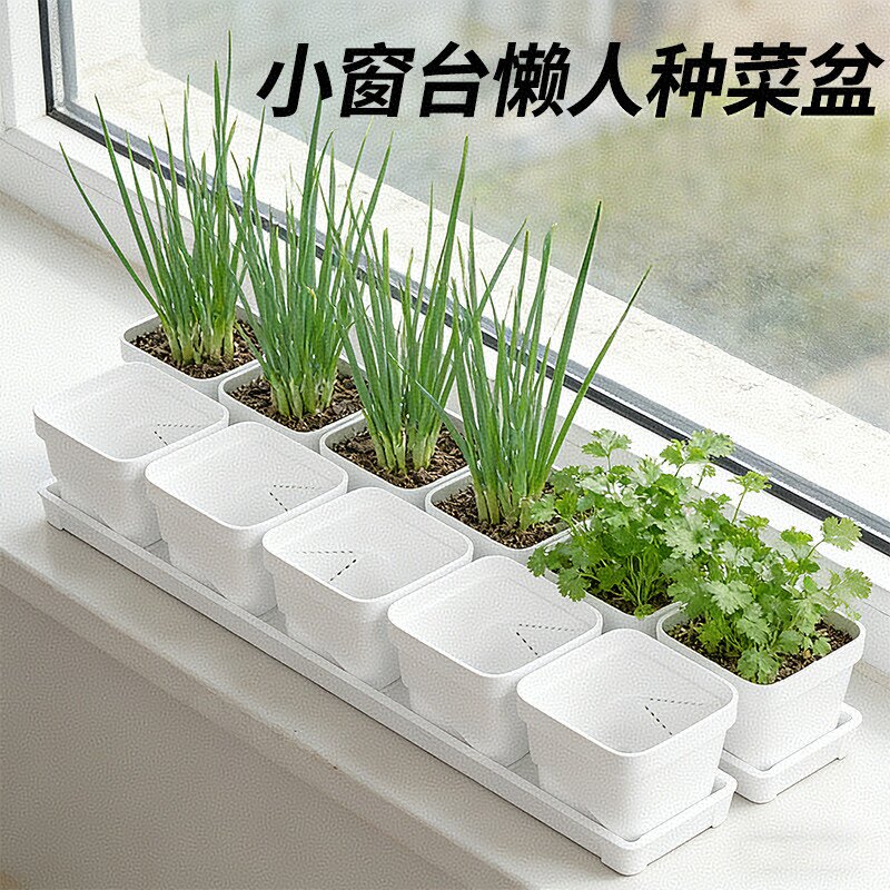 窄阳台种菜食品级塑料长条花盆