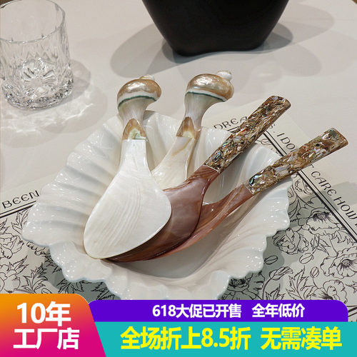 东南亚贝壳饭勺手工海螺