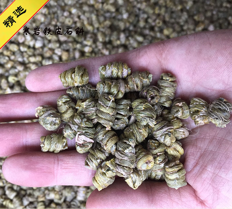浙江乐清本地铁皮枫斗 芽型 芽铁皮石斛 精品选