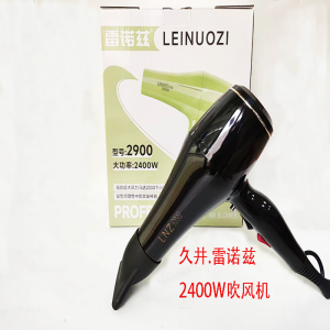 久井雷诺兹2900吹风机2400W大功率速干家用发型师专用恒温冷热风