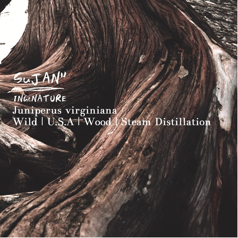 特级北美圆柏精油  维吉尼亚雪松精油 i sujan