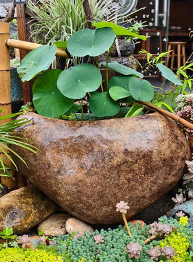 天然石头缸花园庭院养鱼盆荷花盆