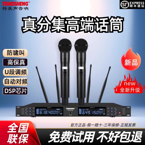 TEMEISHENG无线话筒一拖二麦克风