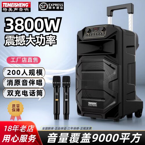 大功率Temeisheng专业唱K歌音箱