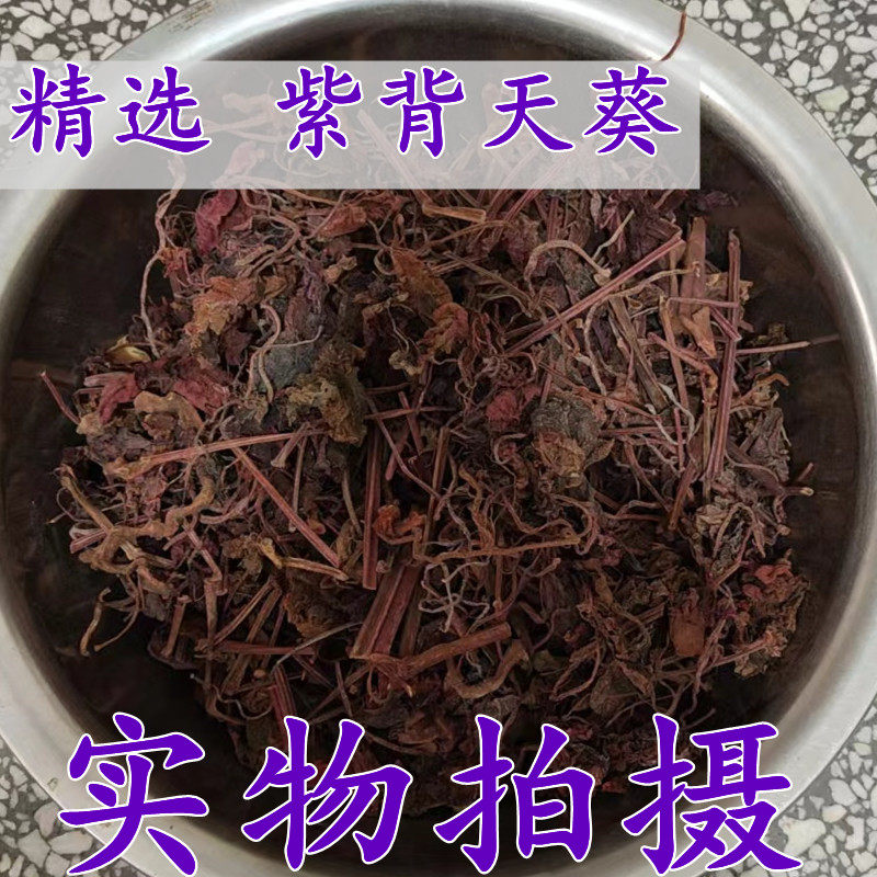 紫背天葵 中药材 红天葵 紫背天葵草 红叶 紫背天葵 250克包邮