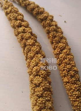 满额包邮 仓鼠金丝熊躺手神器谷穗麦穗逗鼠棒一整根增加粗纤维