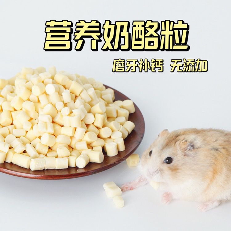 仓鼠奶酪补钙磨牙美毛爱吃