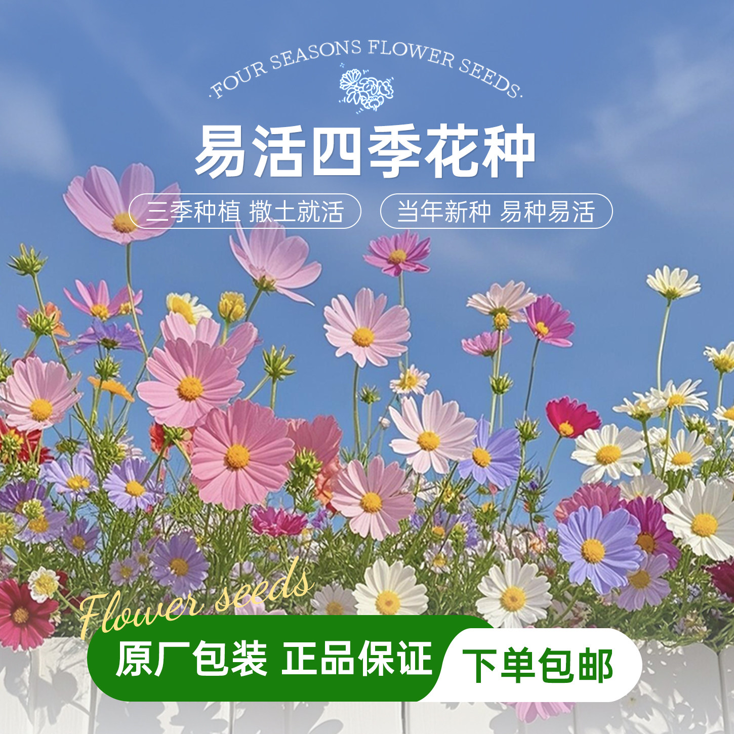 易活四季播种室内外花卉种子图片