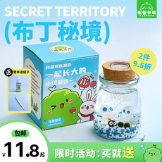 Водоросли мяч marimo布丁秘境幸福海藻球微景观生态瓶迷你盆栽创意礼物水培植物 Sweet dreams