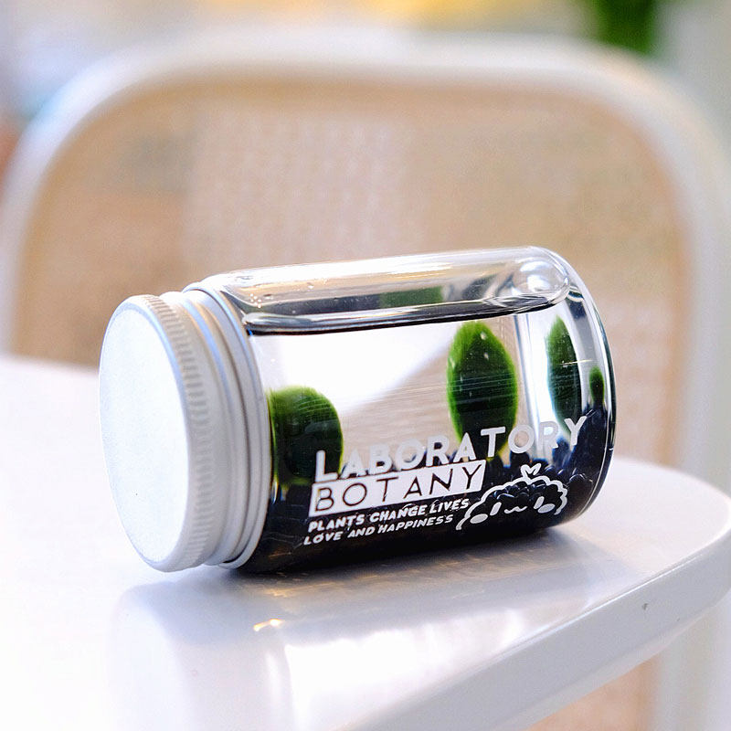 marimo马里莫海藻球营养液微景观生态瓶绿球藻水培植物盆栽栖水瓶