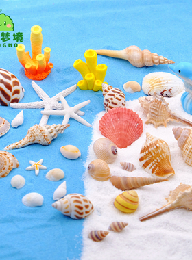 鱼缸贝壳海螺摆件装饰品地中海拍摄道具微景观扇贝仿真海星珊瑚