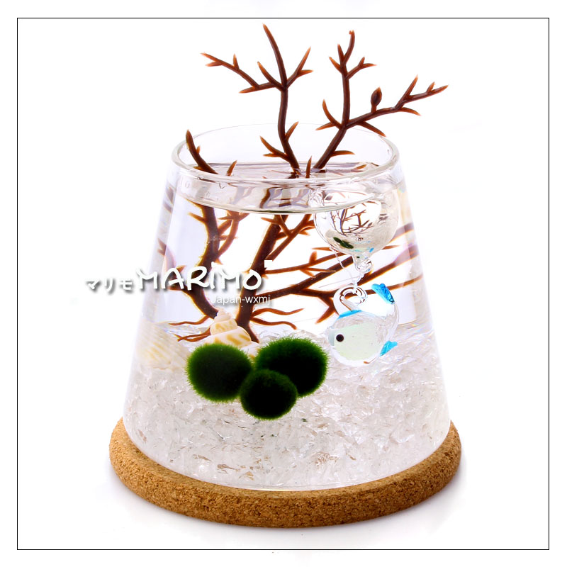 包邮幸福海藻球苔藓微景观瓶富士山杯桌面办公室植物迷你盆栽礼物,鲜花速递/花卉仿真/绿植园艺,海藻球,淘宝优惠券,粉丝福利购,淘宝优惠卷