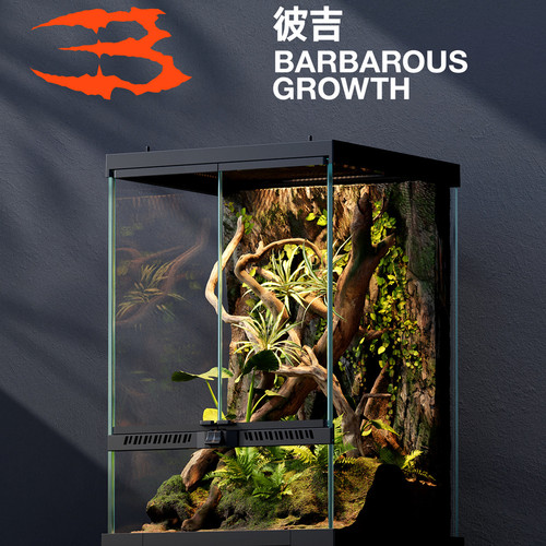 彼吉玻璃爬宠缸生态造景雨林缸