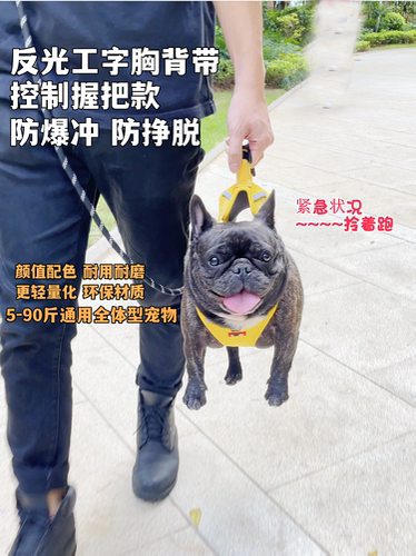 宠物胸背带牵引绳背心式防爆冲