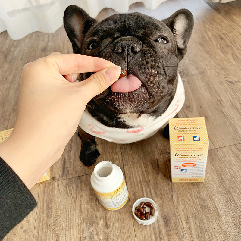 台湾舒肤敏皮肤丸鱼油减少掉毛