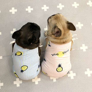 驼驼家 犬用生理裤背带裤生理期贴卫生巾用母狗泰迪法斗