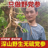 甘肃纯野生党参无硫250g克党叁特级中药材当参组合黄芪当归煲汤