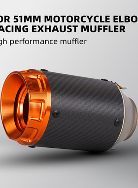 摩托车CB300R MT07S1000RR MT09R3赛600排气管改装AR圆坑通用尾段