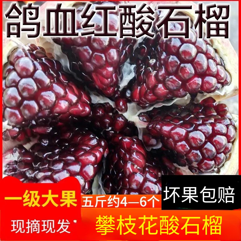 新鲜纯酸孕妇水果石榴