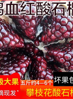 新鲜纯酸孕妇水果石榴