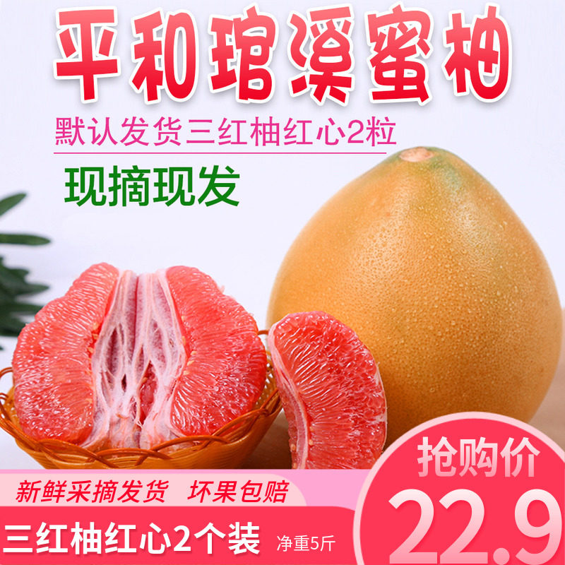 福建柚子平和琯溪蜜柚红心柚 水果三红柚超甜蜜柚福建馆溪蜜柚2粒