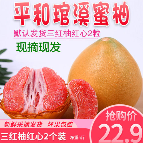 平和琯溪蜜柚福建超甜2粒柚子