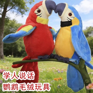 跟人学说话的玩具会扭动会扇翅膀录音儿童电动哄娃开心毛绒小玩具