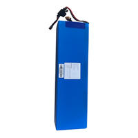 ESWING balance scooter, patrol vehicle, original battery, electric scooter, lithium battery, W1X lead-acid battery thumbnail 6