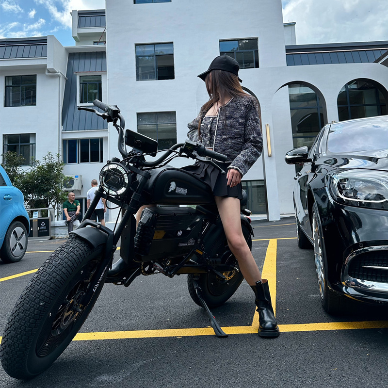 可上牌电动自行车Himoto新国标