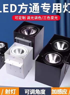 铝方通吊顶专用led双头10x20射灯方木方通筒灯明装15*15