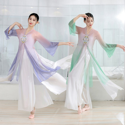 成人女古典舞蹈服飘逸弹力网身韵纱衣湘云飞舞台演出服京剧戏服