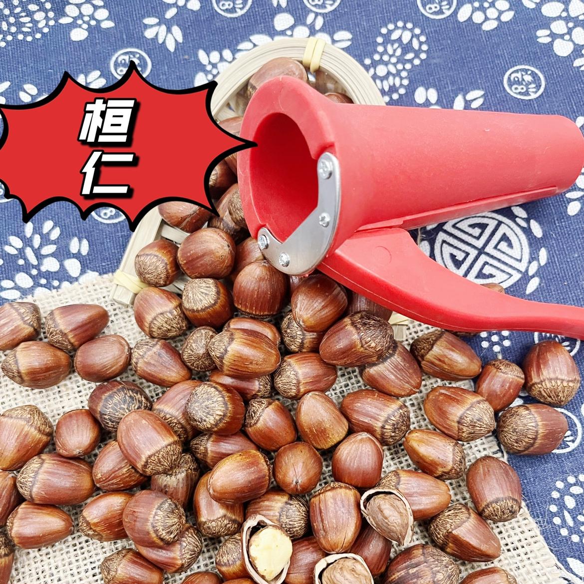 2026年新鲜绿皮水瓤本溪桓仁大果榛子东北特产带皮水仁平欧生榛子