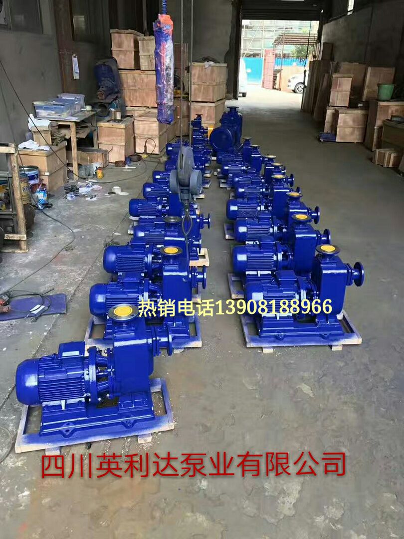 分体无堵塞化粪池排污泵