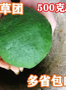 野生新鲜艾叶 食用清明草青团清明果原料野菜500克多省包邮