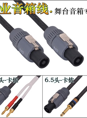 雅乐 4芯卡农专业音箱线舞台功放nl4fc欧姆插头6.5香蕉头音响线