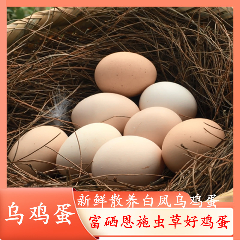 恩施富硒农家散养白凤乌鸡蛋
