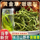 正品 长白山野生肾精草小叶化石草泡茶石韦草嗷嗷叫黄金草中药材