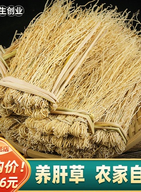 广东野生养肝草丝线根天然护肝草龙须草养肝草汤包养肝金草煲汤