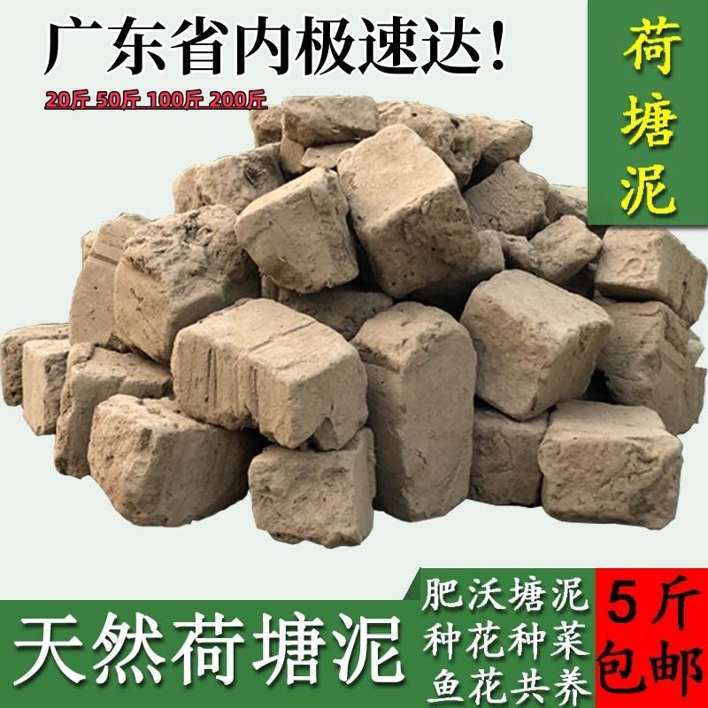 荷塘泥塘泥种植土种花种菜营养土育苗/栽培基质