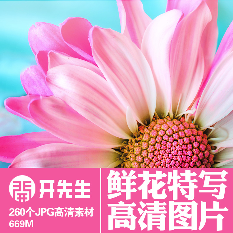 美丽鲜花特写微距近景唯美照片露设计素材/源文件