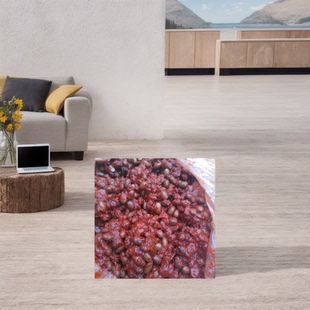 徐州新沂睢宁土特产农家草捂鲜盐豆子鲜辣盐豆酱豆一份500克