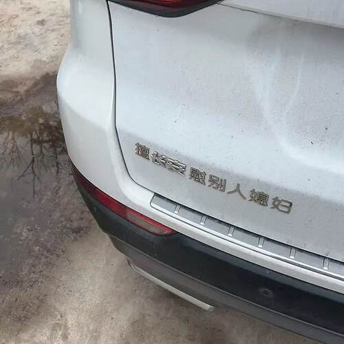 长安汽车不锈钢材质定制车尾贴